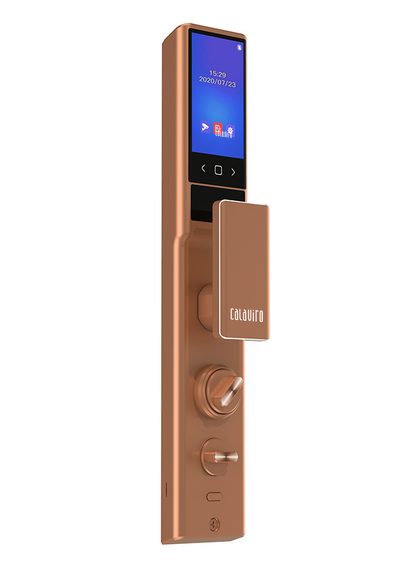 Premium Pro Smart Lock