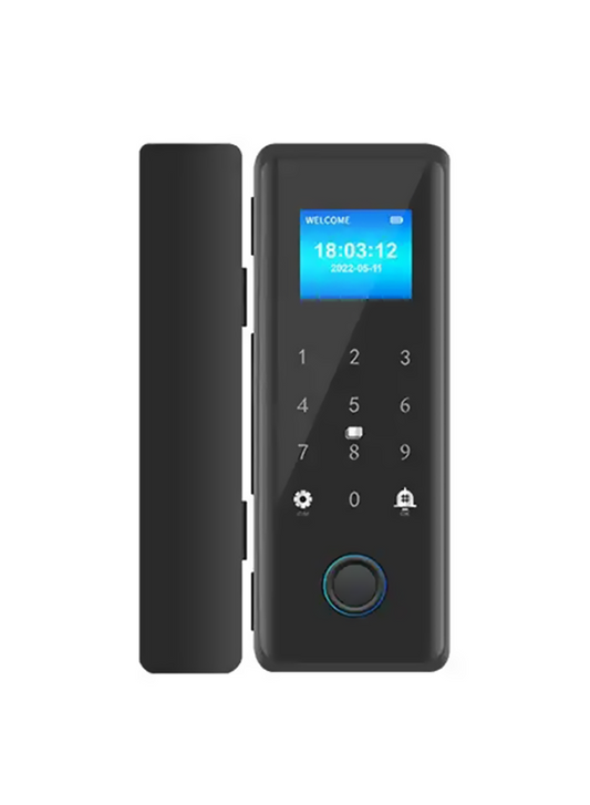 Glass Smart Door Lock