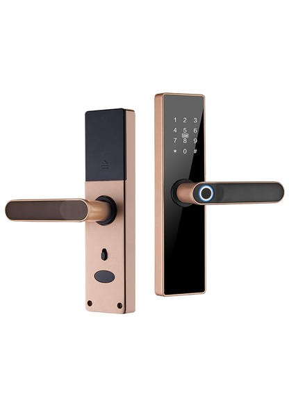 Intelligent Smart Lock